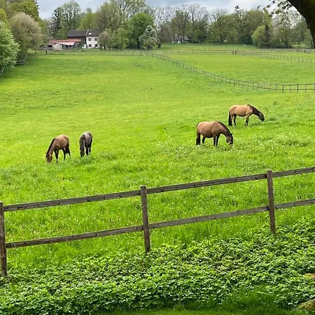 Homestay Herrenhaus - Starnberger - Ammerland Munsing