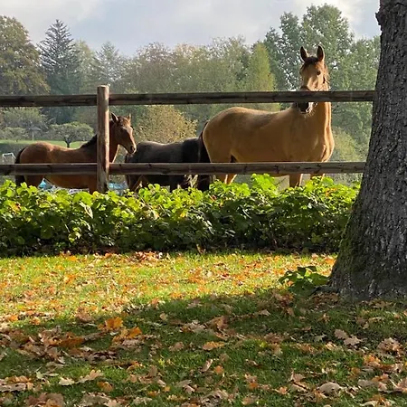 Homestay Herrenhaus - Starnberger - Ammerland Munsing